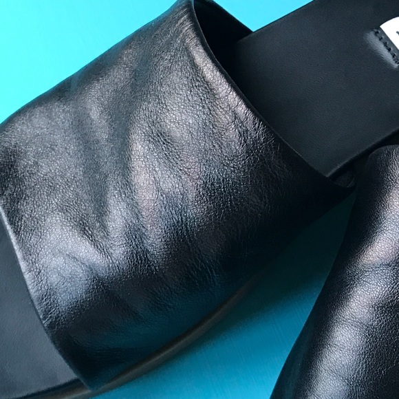 karolyn steve madden